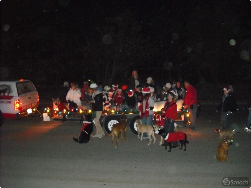 Parade of Lights