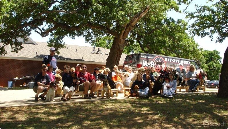 Picnic seven