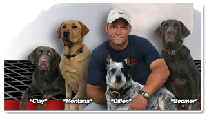 K-9 Direction : Dog training... Unleashed!