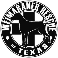 Weimaraner Rescue of North Texas